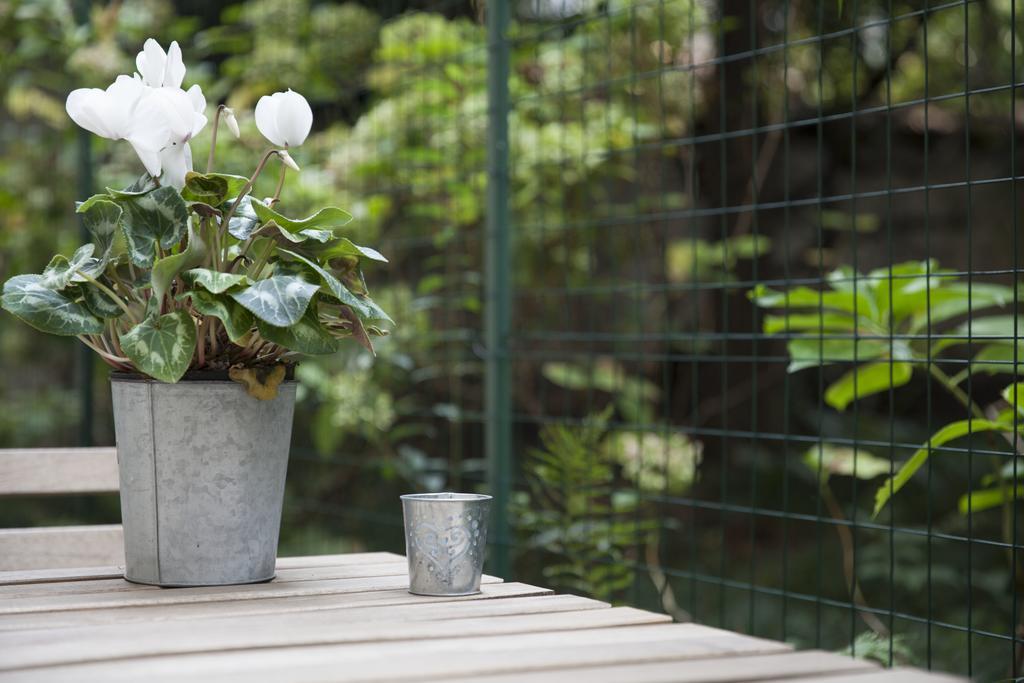 Apartment The Secret Garden *